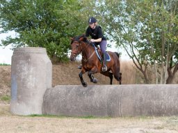 IMG_8347_web